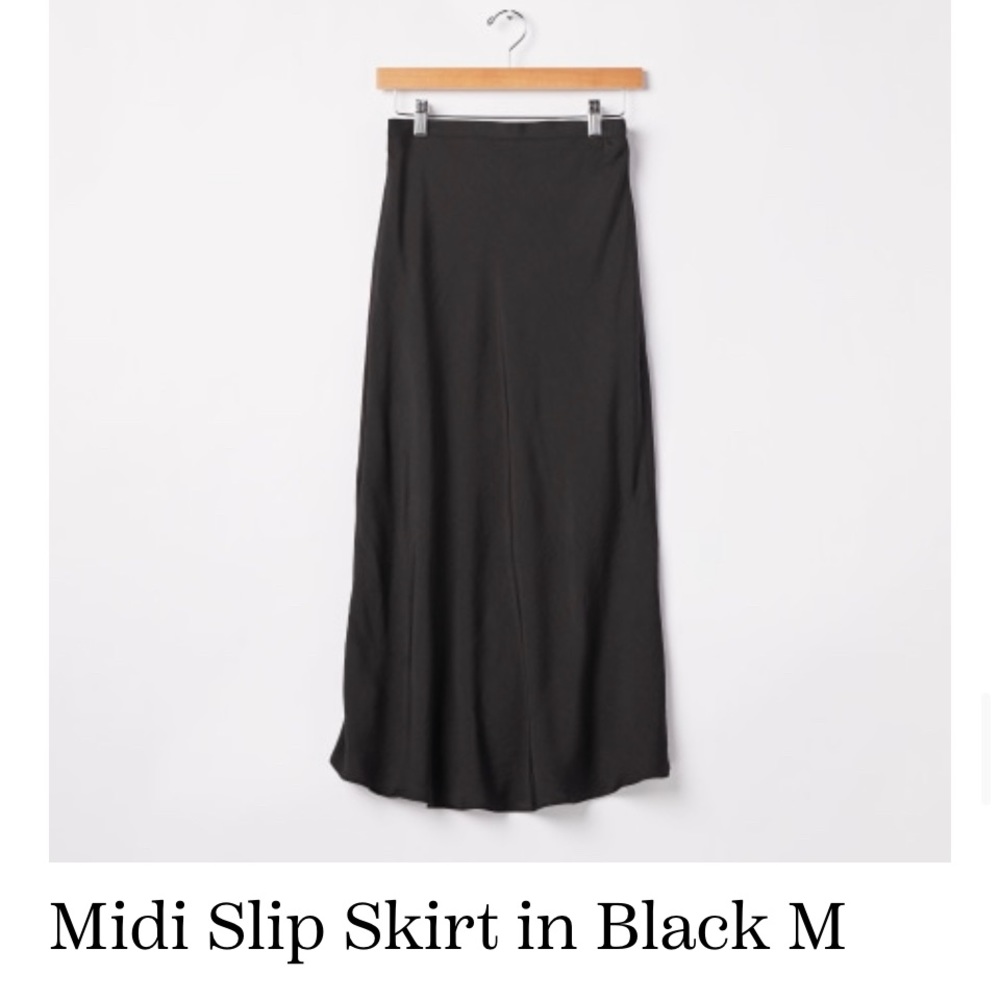 NWT slip skirt by Wishlist!